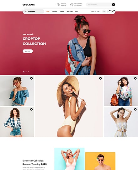 fashion shopfiy